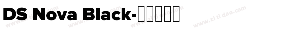 DS Nova Black字体转换